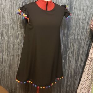 NWOT  Pompom dress